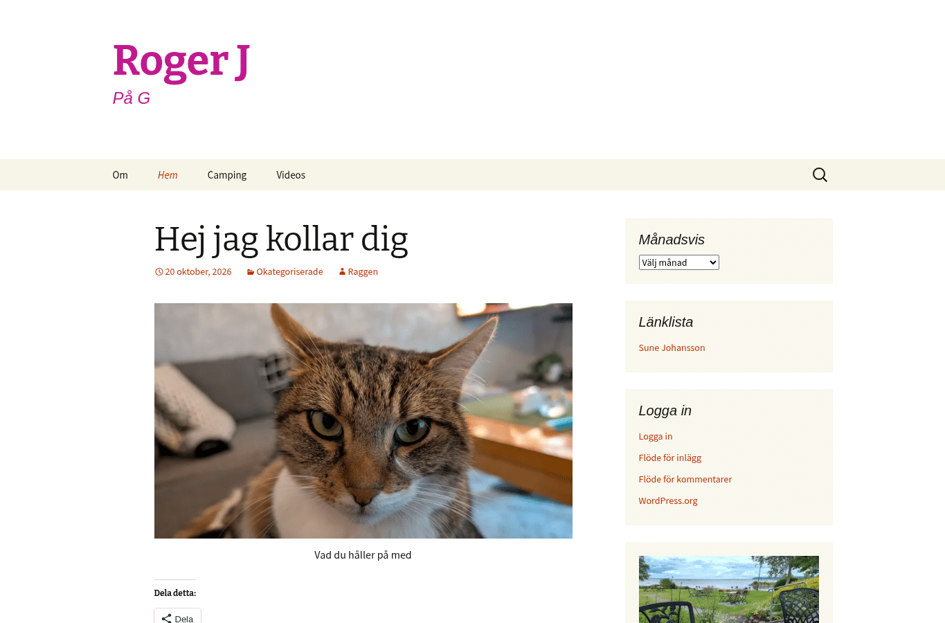 Screenshot preview of vada.se