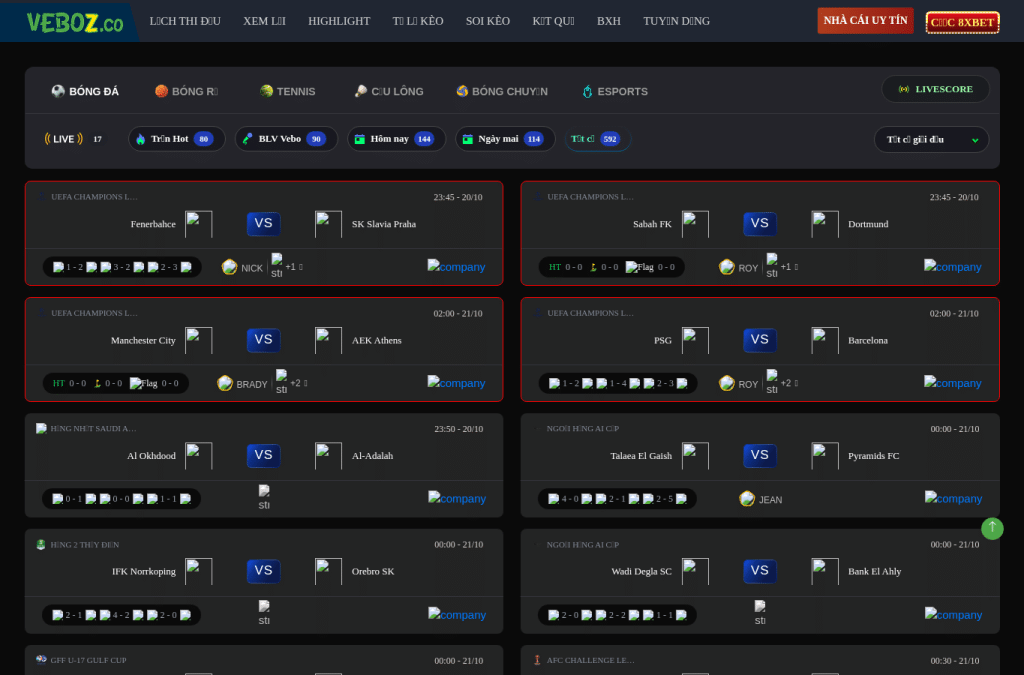 Screenshot preview of vebozbg.cc